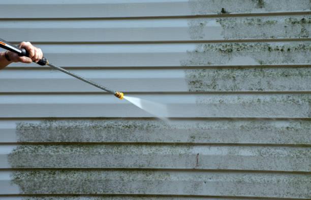 Best Vinyl Siding Pressure Washing in USA